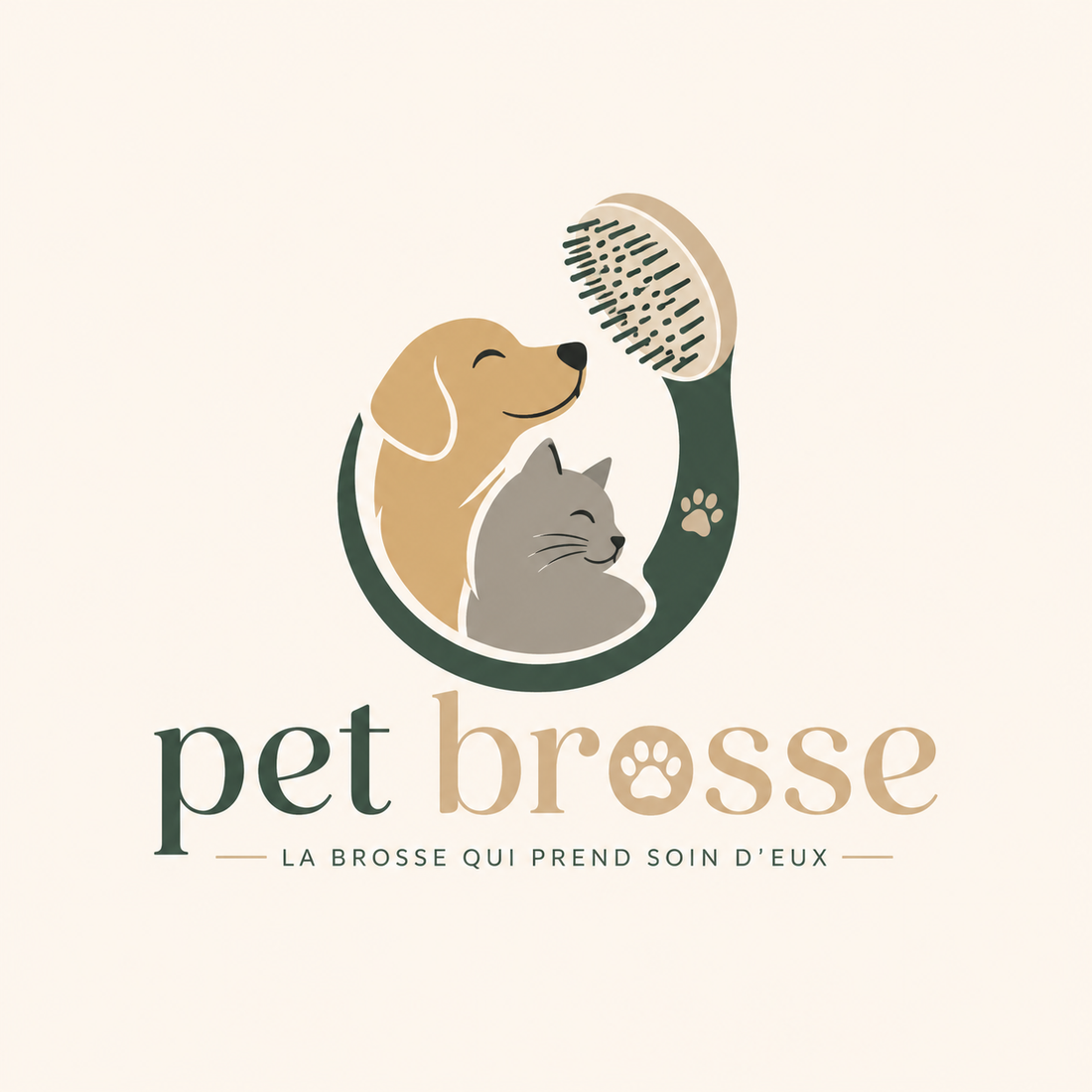 Toiletter un chat qui n'aime pas ça — guide complet | pet brosse